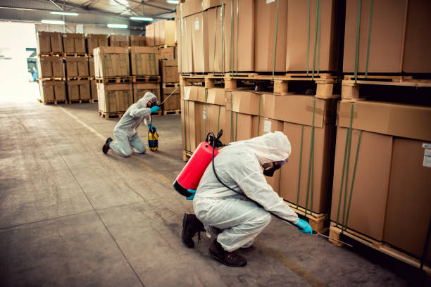 Professional Pest Control in Grosse Pointe, MI