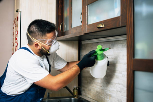 Best Residential Pest Control  in Grosse Pointe, MI