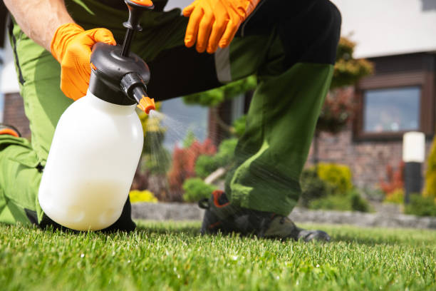 Best Pest Inspection Near Me  in Grosse Pointe, MI