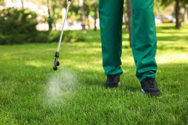 Best Commercial Pest Control Services  in Grosse Pointe, MI