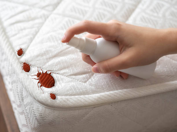 Best Flea Control Services  in Grosse Pointe, MI