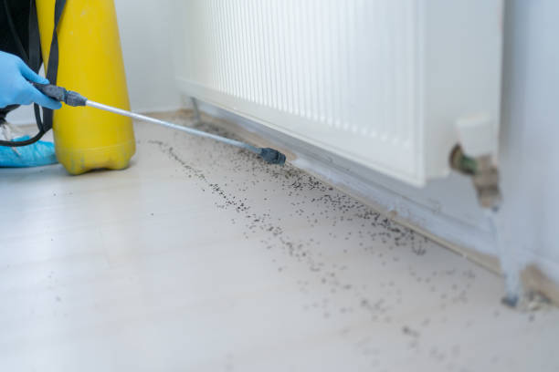 Best Best Pest Control Companies  in Grosse Pointe, MI