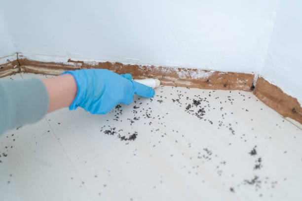 Best Commercial Pest Control Services  in Grosse Pointe, MI