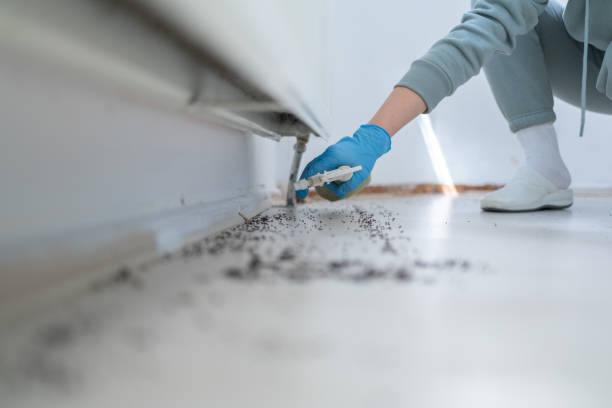 Bird Control in Grosse Pointe, MI