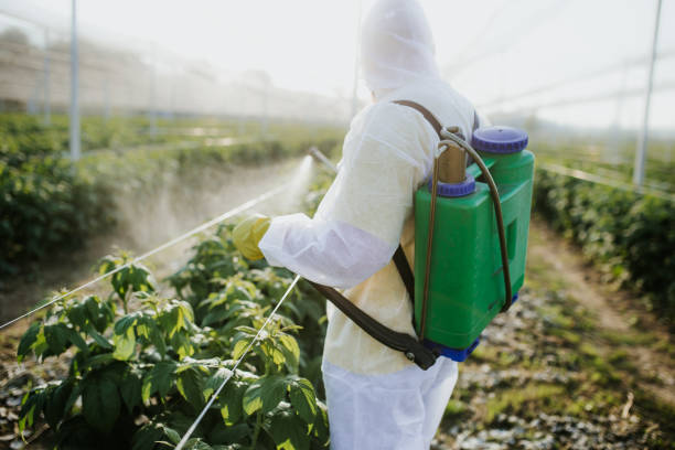 Best Pest Removal Services  in Grosse Pointe, MI